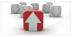 Content Development | King Systems Baia Mare