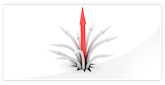 Newsletter Personalizat | King Systems