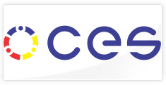 Consiliul Economic si Social | Logo Design