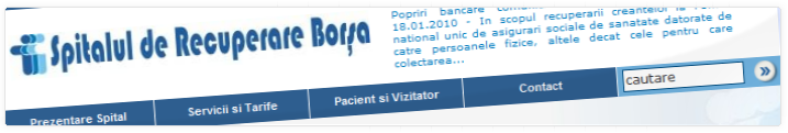 Spitalul de Recuperare Borsa | Web Design