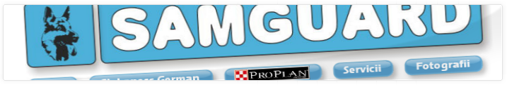 SamGuard Baia Mare | Web Design