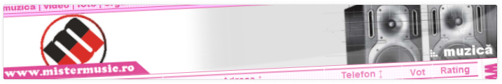 Mister Music | in cele mai importante momente | Web Design