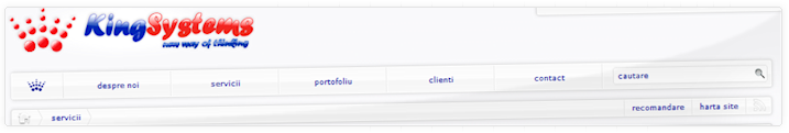 King Systems Baia Mare | Web Design si Web Hosting