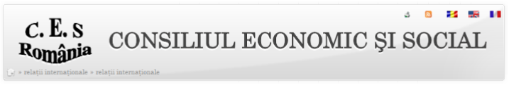 Consiliul Economic si Social | Web Design